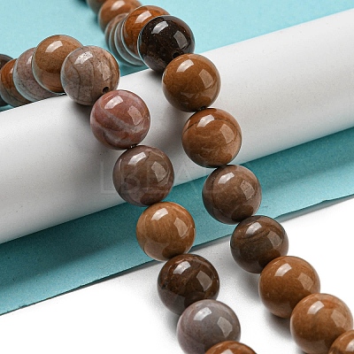 Natural Petrified Wood Round Bead Strands G-F266-08-12mm-1