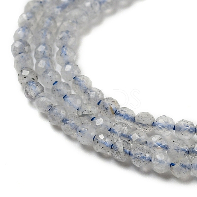 Natural Labradorite Beads Strands G-A097-A07-01-1