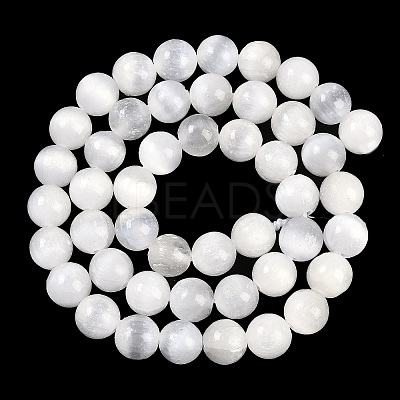 Natural Selenite Beads Strands G-G167-A02-01-1