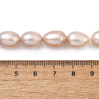 Natural Cultured Freshwater Pearl Beads Strands PEAR-I007-01E-06C-1