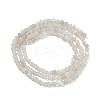 Natural White Moonstone Beads Strands G-D304-01-2.5mm-1