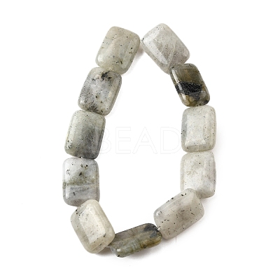 Natural Labradorite Beads Strands G-S386-A03-1