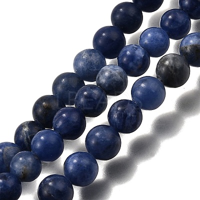Round Natural Sodalite Beads Strands G-F222-39-8mm-1
