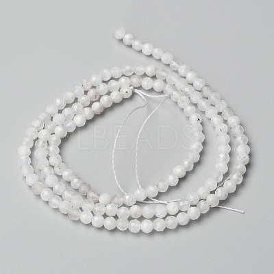 Natural Rainbow Moonstone Beads Strands X-G-O186-D02-01-1