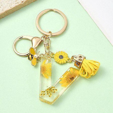 Resin & Alloy Enamel Keychain X1-KEYC-YW00134-22-1