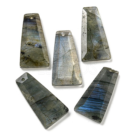 Natural Labradorite Pendants G-G123-02D-1