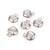304 Stainless Steel Charms STAS-L244-12P-1