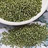 MIYUKI Delica Beads SEED-X0054-DB2522-1