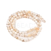 Natural Freshwater Shell Beads Strands SHEL-T011-02-2mm-2