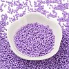 Baking Paint Glass Seed Beads X-SEED-S042-05B-71-2