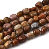 Natural Petrified Wood Beads Strands G-L621-C11-01-2