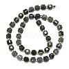 Natural Iolite Beads Strand G-I376-D60-01-2