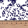 Baking Paint Glass Seed Beads SEED-S042-05B-78-4