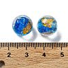 Handmade Lampwork Beads LAMP-H065-01M-4