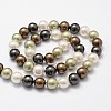 Shell Pearl Bead Strands BSHE-L017-18-3