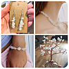 1 Strand Natural Quartz Crystal Chip Beads Strands G-TAD0001-08-6
