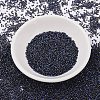 MIYUKI Delica Beads SEED-MY11-DB2191-2