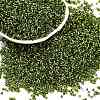 Baking Paint Silver Lined Glass Seed Beads SEED-H003-09D-1