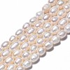 Natural Cultured Freshwater Pearl Beads Strands X-PEAR-N012-07B-2