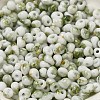 Baking Paint Glass Seed Beads X1-SEED-F006-01A-05-3