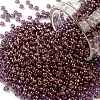 TOHO 11/0 Round Beads X-SEED-TR11-0202-1