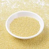 MIYUKI Round Rocailles Beads X-SEED-G007-RR0273-2