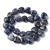 Natural Blue Spot Jasper Beads Strands G-I372-A13-02-5