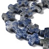 Natural Blue Spot Jasper Beads Strands G-M418-B09-01-4