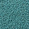 MIYUKI Round Rocailles Beads SEED-G007-RR0435-3