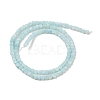 Natural Freshwater Shell Dyed Beads Strands SHEL-R100-11A-03-2