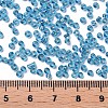 12/0 Glass Seed Beads SEED-A005-2mm-23B-3
