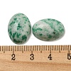 Natural Green Spot Jasper Cabochons G-C115-01A-12-3
