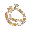 Natural Yellow Shell Beads Strands SHEL-F003-01B-3