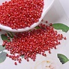 MIYUKI Delica Beads SEED-MY11-DB0159-1