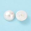 Shell Pearl Half Drilled Beads X-BSHE-G011-01-12mm-3