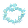 Electroplated Natural Quartz Crystal Beads Strands G-P368-05C-2
