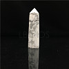 Point Tower Natural Howlite Home Display Decoration PW23030668419-1