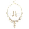Flower Alloy & Plastic Pearl & Crystal Rhinestone Pendant Necklaces & Stud Dangle Earrings Sets FS-WG18295-02-2