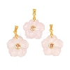 Natural Rose Quartz Carved Pendants G-A315-01G-08-1