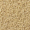MIYUKI Round Rocailles Beads X-SEED-G007-RR0488-2