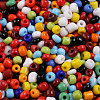 6/0 Glass Seed Beads SEED-US0003-4mm-51-2