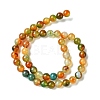 Natural Peacock Agate Beads Strands G-G444-8mm-02-4