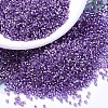 MIYUKI Delica Beads SEED-X0054-DB2168-1