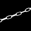 Iron Paperclip Chains CH-R025-10x5mm-S-1