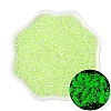 Luminous Glow in the Dark Cylinder Seed Beads PW-WG26040-04-1