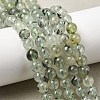 Natural Prehnite Beads Strands G-G457-6mm-03-7