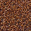 MIYUKI Delica Beads X-SEED-J020-DB1779-3