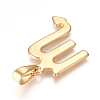 304 Stainless Steel Pendants STAS-L210-06G-G-01-2