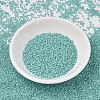 MIYUKI Delica Beads SEED-X0054-DB1576-2