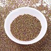 MIYUKI Delica Beads SEED-X0054-DB0507-2